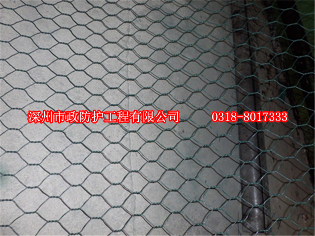 覆塑雷諾護(hù)墊