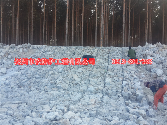 格賓網(wǎng)護坡